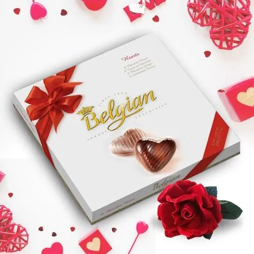 Ecstatic Belgian Chocolates  with a velvet Rose an Exotic Feel