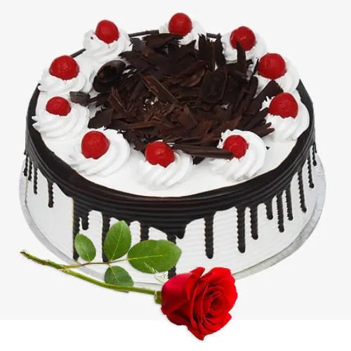 Deliver Eggless Black Forest Cake with Single Rose