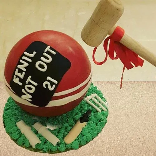 Trendy Piata Cake for Cricket Lovers