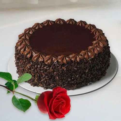 Red Roses Box with Delicious Chocolate Cake - DP Saini Florist