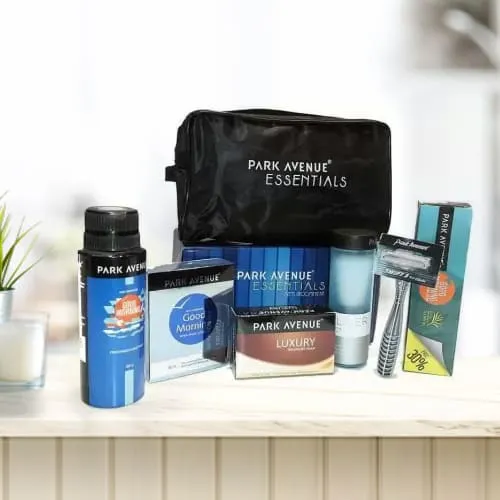 Mesmerizing Park Avenue Mens Essential Kit