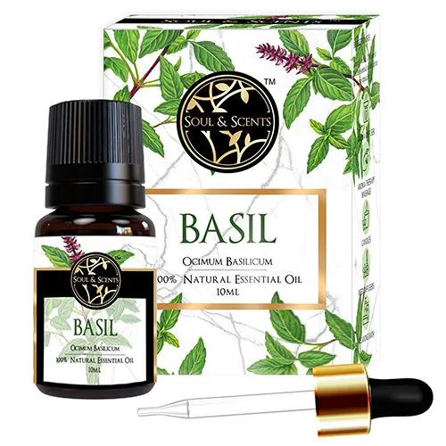 Send essential elegance basil essential oil to Chennai Free