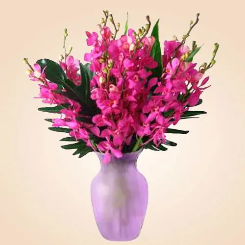 Graceful 12 Pink Orchids Fantasy in a Vase