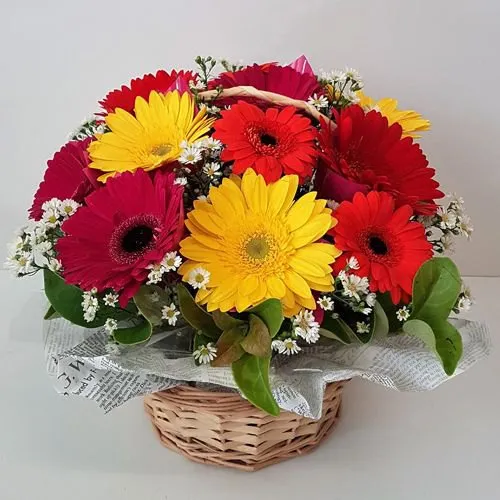 Enchanting Basket of Mixed Gerberas