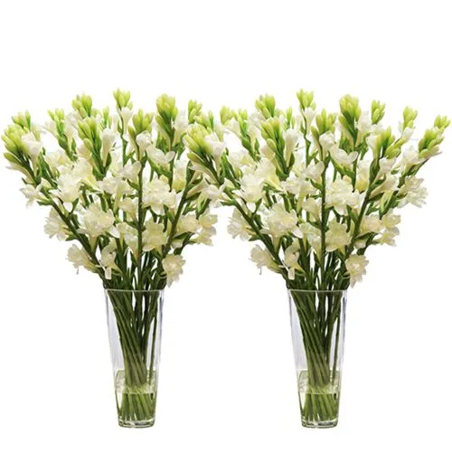 Subtle Concern Tuberose in Separate Vase