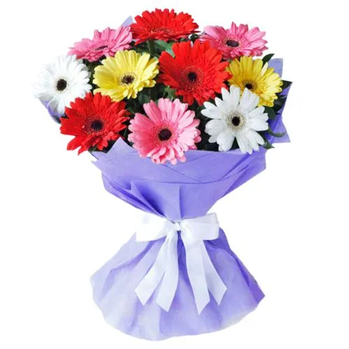 Amazing Mixed Gerberas Bouquet in Tissue Wrap