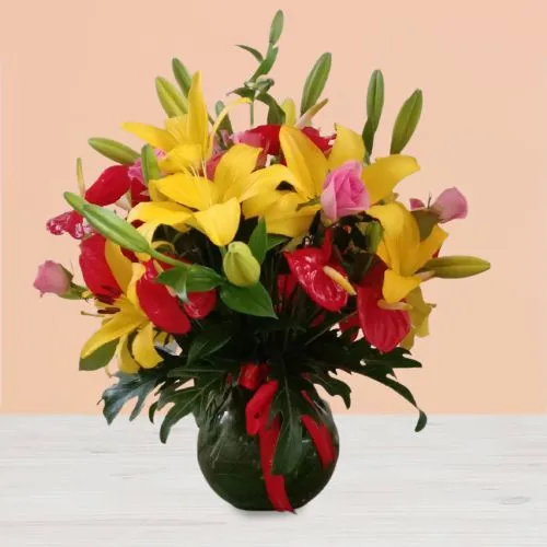 Gorgeous Pot of Red Anthurium N Yellow Lily