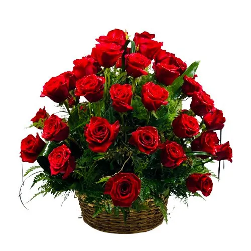 Fresh Dutch Roses Basket