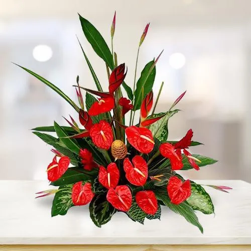 Brilliant Anthurium n BOP Arrangement