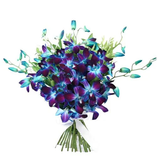 Impressive Blue Orchids Bouquet