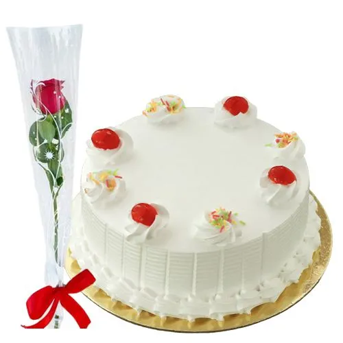 VANILLA CAKE 1 LB | Free Home Delivery, all at your doorstep -10.00 am to  10.30 pm