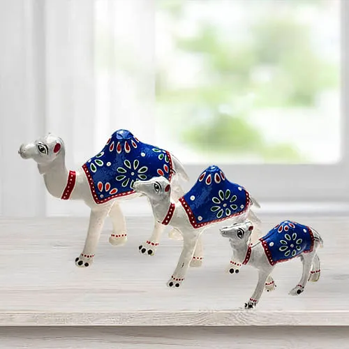 Remarkable 3pc Camel Showpiece Set