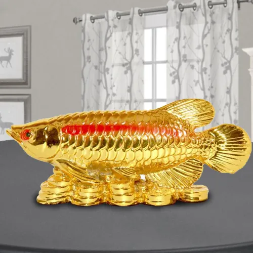 Send Golden Arowana Fish