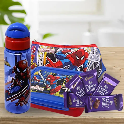 Buy alluring spiderman canteen set of water bottle n tiffin in Mumbai, Free  Shipping - MumbaiOnlineFlorists